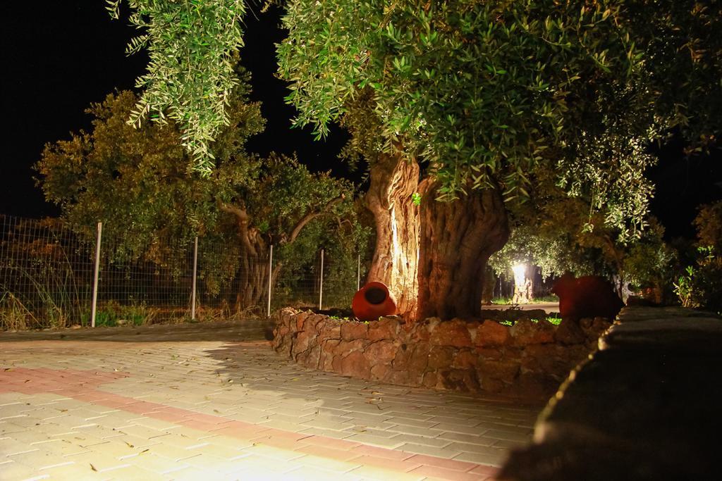 Studios Elianthos Skála Kallirákhis Exteriér fotografie