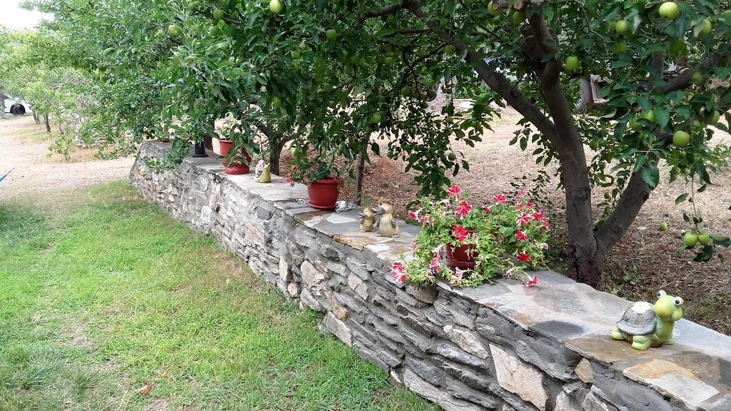 Studios Elianthos Skála Kallirákhis Exteriér fotografie